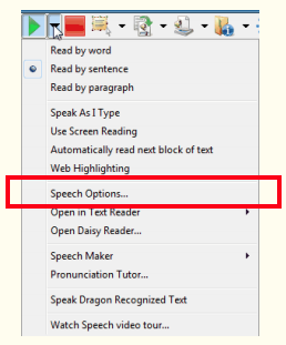 speech options