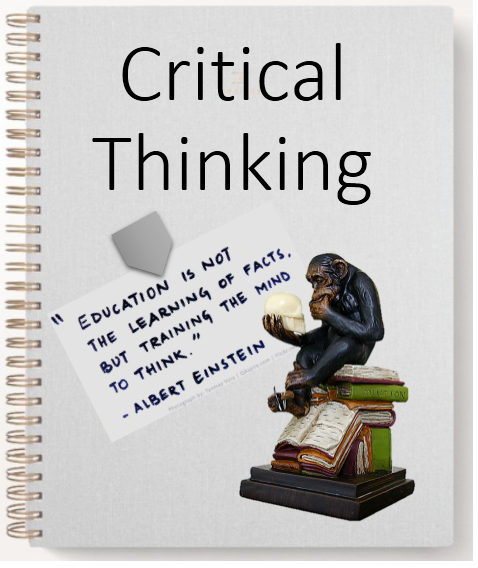 critical thinking book