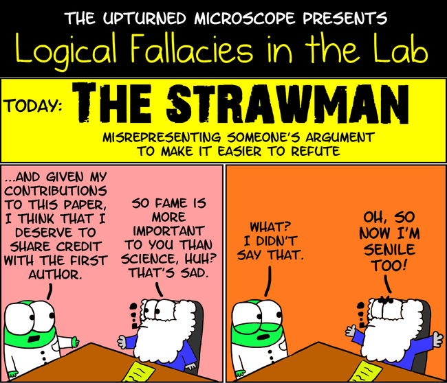 straw man