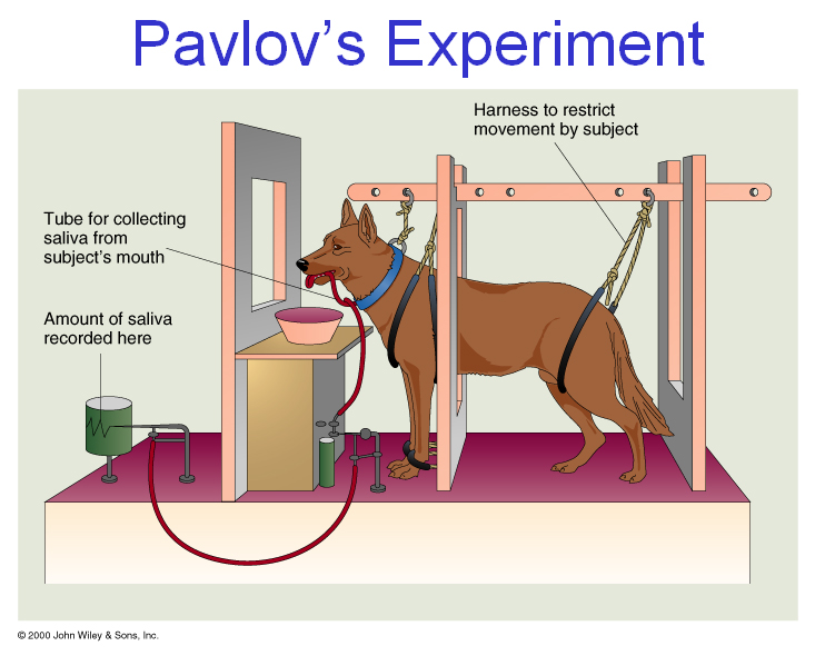 Pavlov