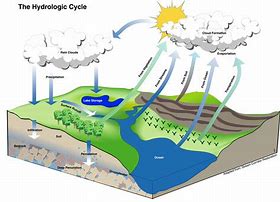 Hydrological cycle